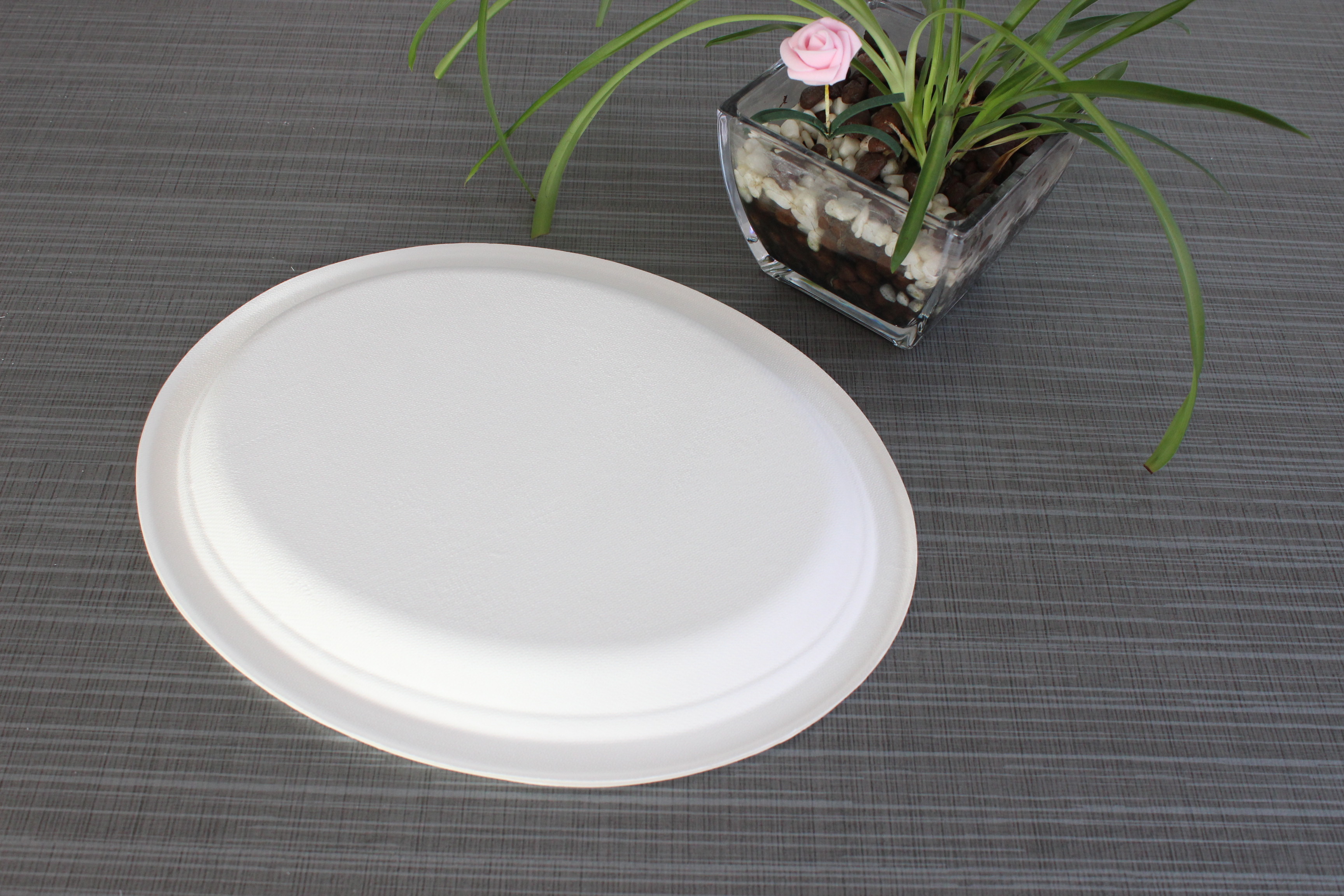 Bagasse Sugarcane Oval Plate Degradable