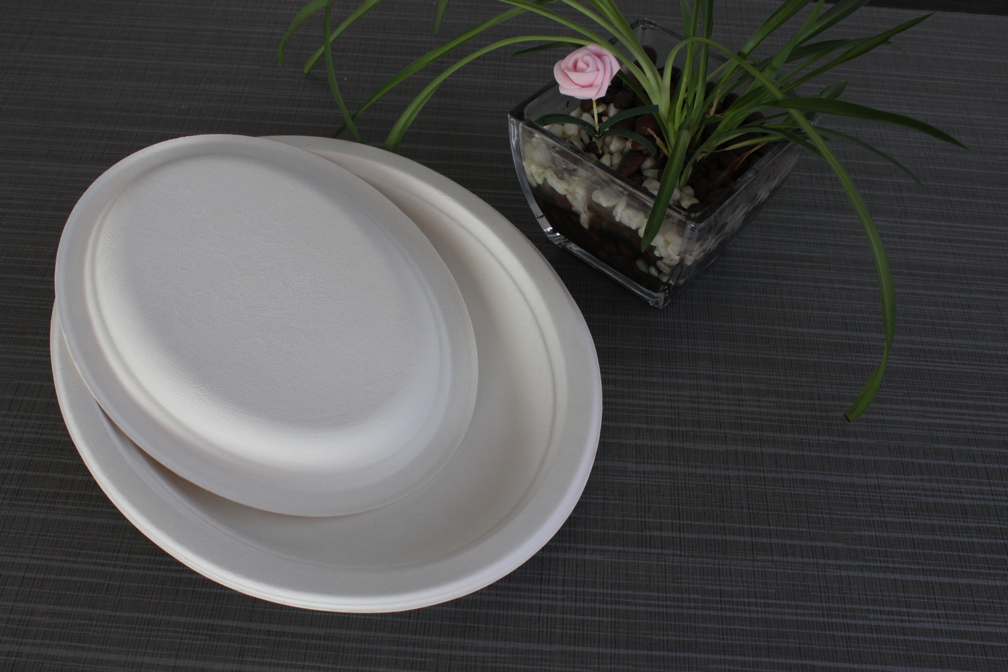 Bagasse Sugarcane Oval Plate Degradable