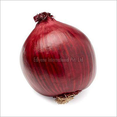 Fresh Red Onion