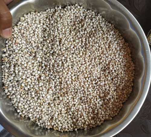 ऑर्गेनिक मिलेट