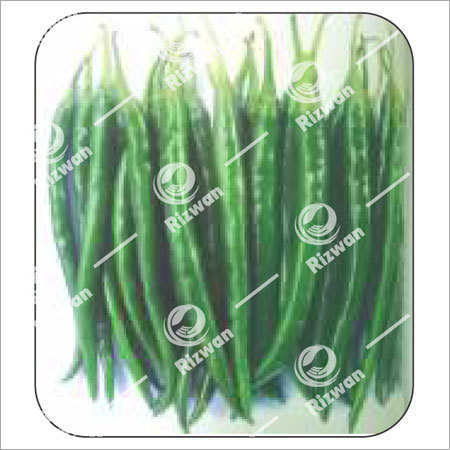 गहरे हरे रंग की मिर्च F1 तेज़