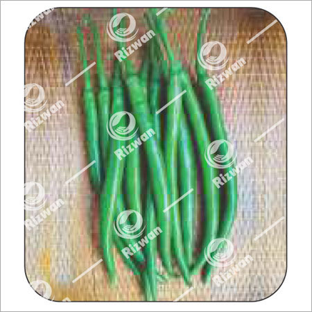 Chilli F1 Navina (Imp.) - Color: Dark Green