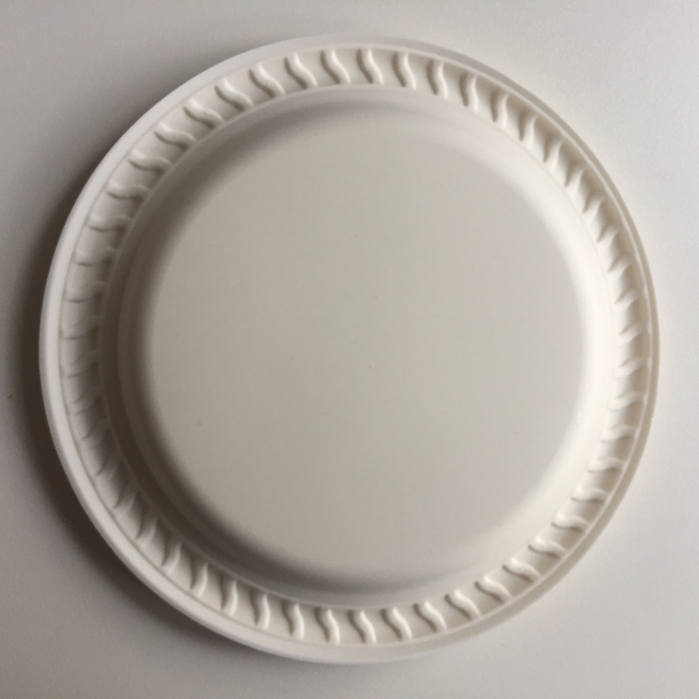 Biodegradable Corn Starch Oval Plate Application: Food Container
