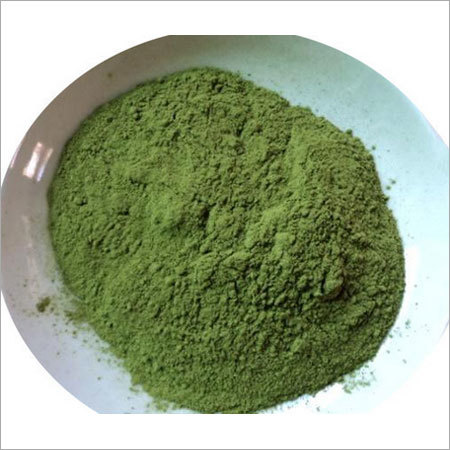 Moringa Leaf Extract Powder - Fine Green Powder | Low Moisture Content, 12 Months Shelf Life, Bulk Packaging