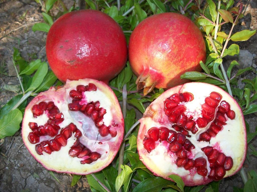 Red Fresh Pomegranate