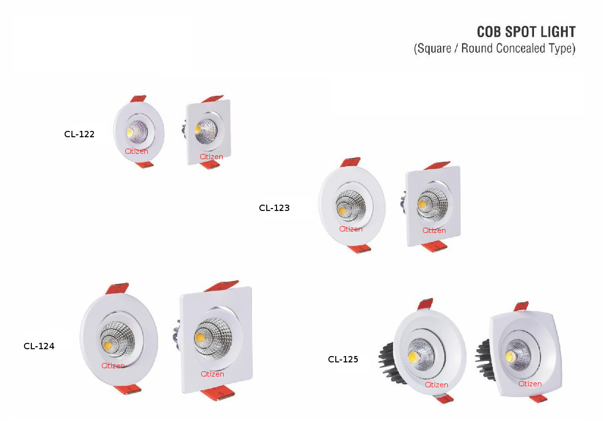 Cob Spot Light 1
