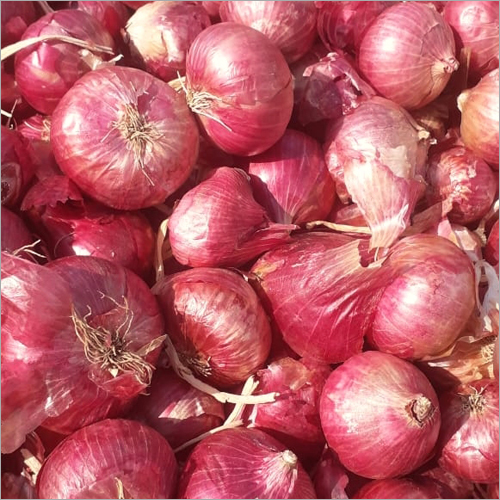 Fresh Red Onion