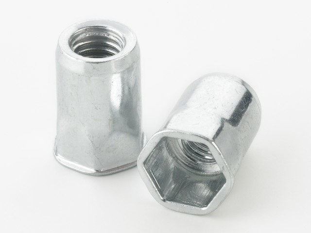 Stainless Steel Blind Rivet Nuts Semi-hex Reduced Head