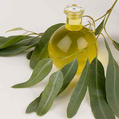 Natural Essential Oils Age Group: Adults