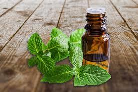 Natural Essential Oils Age Group: Adults