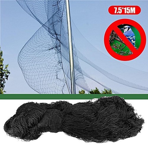Black Pigeon Protection Netting