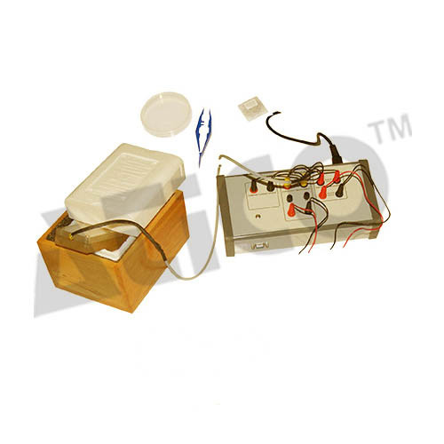 Superconductivity Experiment Kit - High-Performance YBCO & BSCCO Probes, 220V 50Hz AC Voltage | In-Built Four-Point Measurement System, Differential Voltage Probes, Graphical Data Display