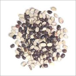 भारतीय उरद दाल