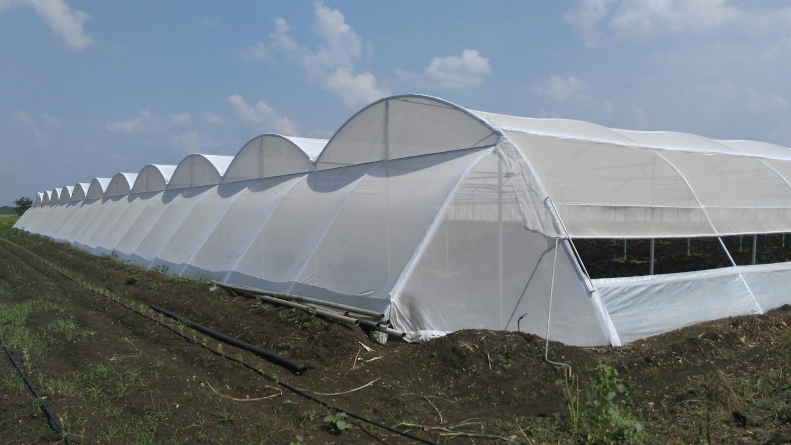 Insect Net House - Polyethylene Material, Customizable Dimensions, White Color | Lightweight, 1mm Net Size, Easy Installation