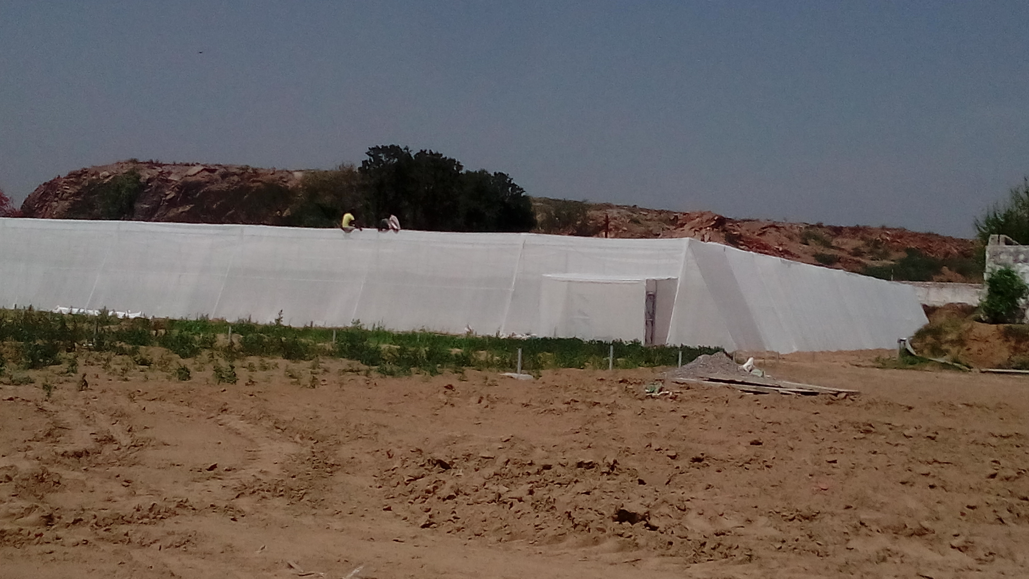 Insect Net House - Polyethylene Material, Customizable Dimensions, White Color | Lightweight, 1mm Net Size, Easy Installation