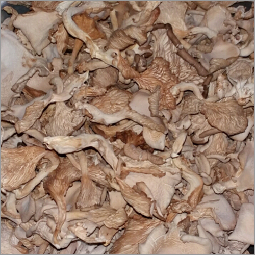 प्राकृतिक सूखी मशरूम