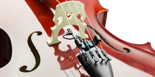 I2 बास सेलो माइक्रोफोन