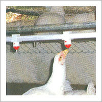 जंबो प्र breeder निप्पल्स