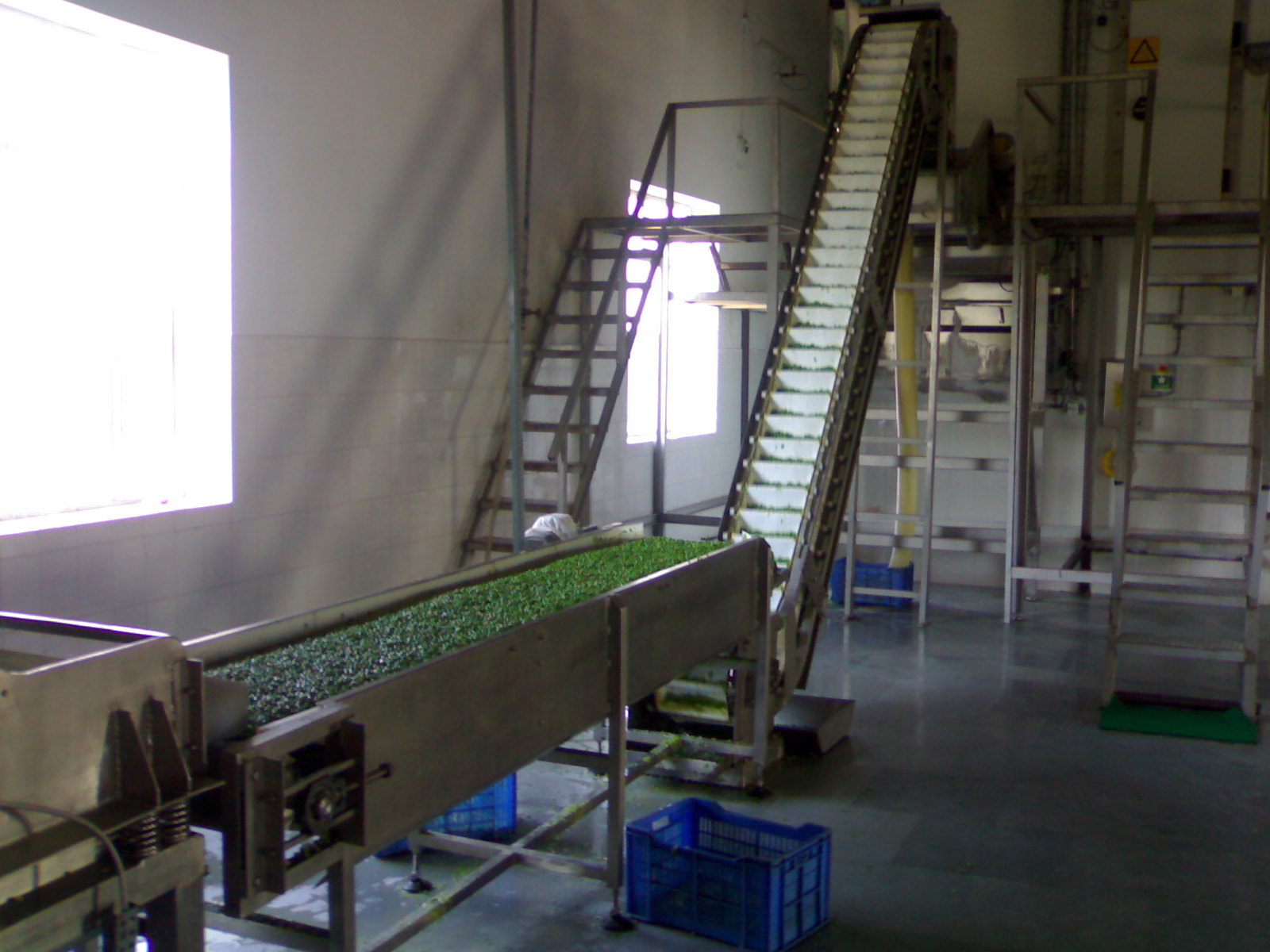Frozen Vegetable Processing Line Capacity: 1000 Kg/hr