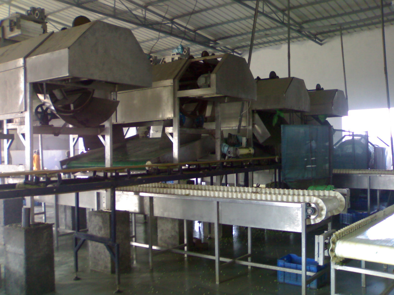 Frozen Vegetable Processing Line Capacity: 1000 Kg/hr