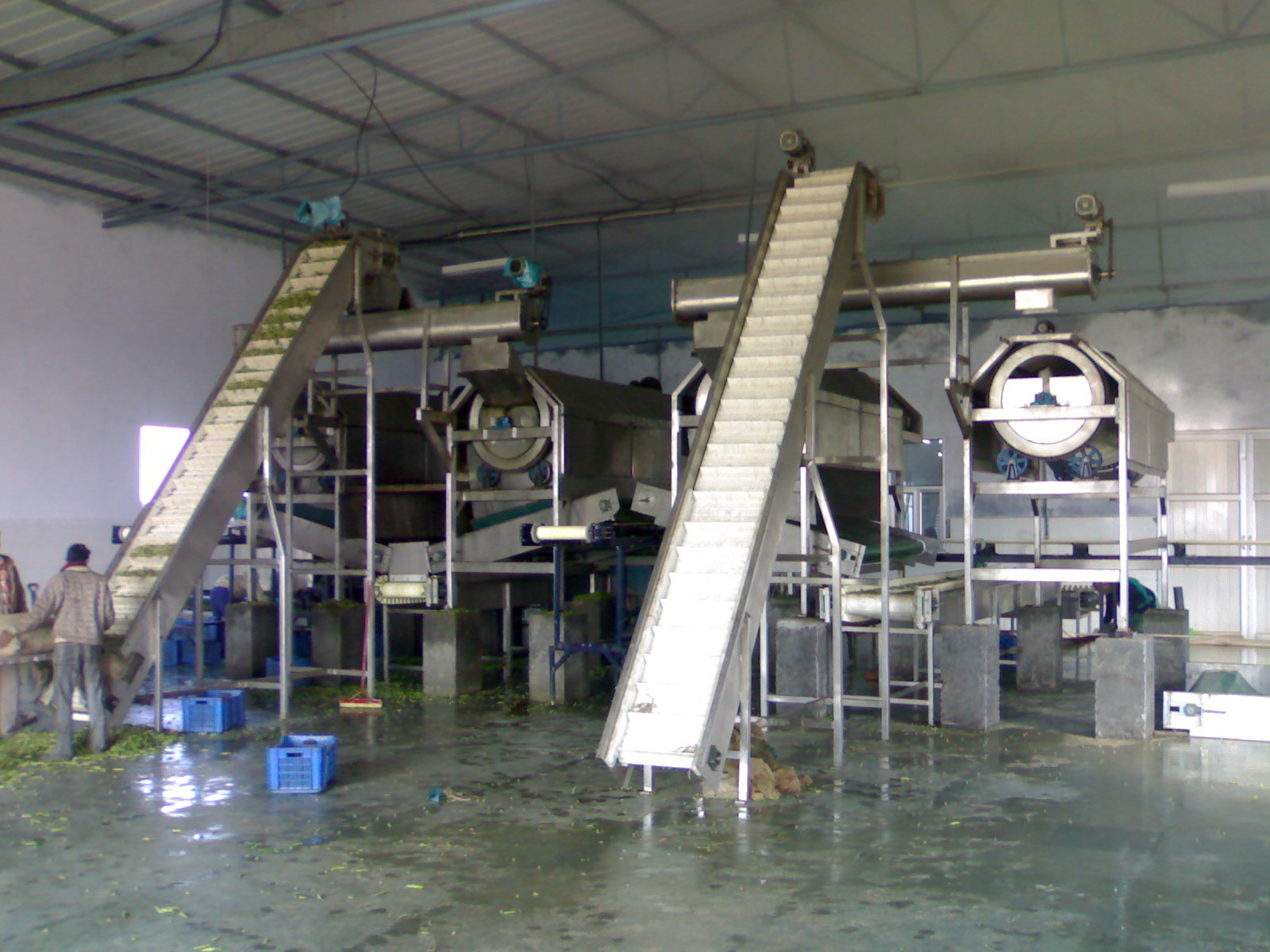 Frozen Vegetable Processing Line Capacity: 1000 Kg/hr