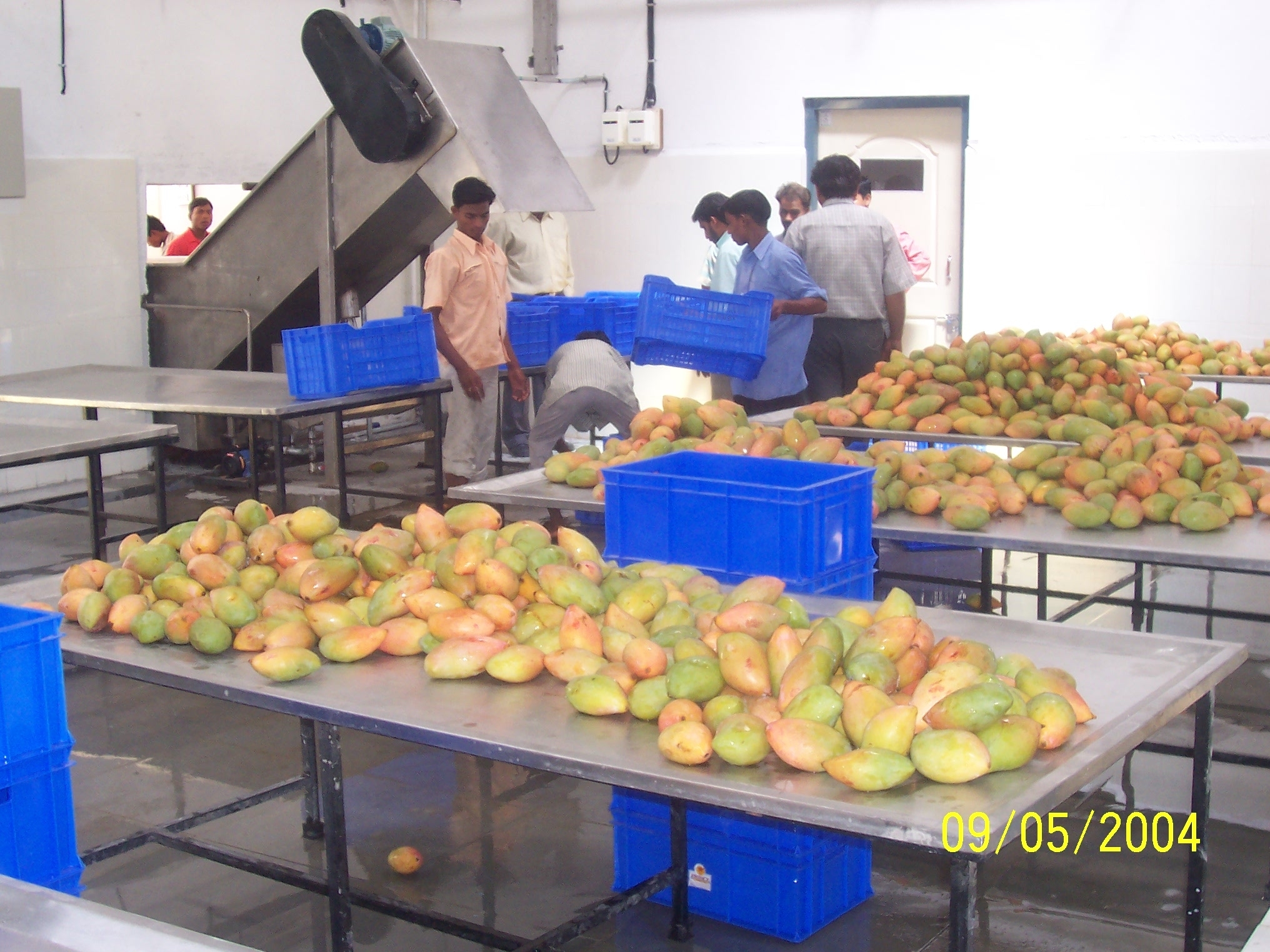 Fruit Juice Processing Line Capacity: 500 - 10000 Kg/hr