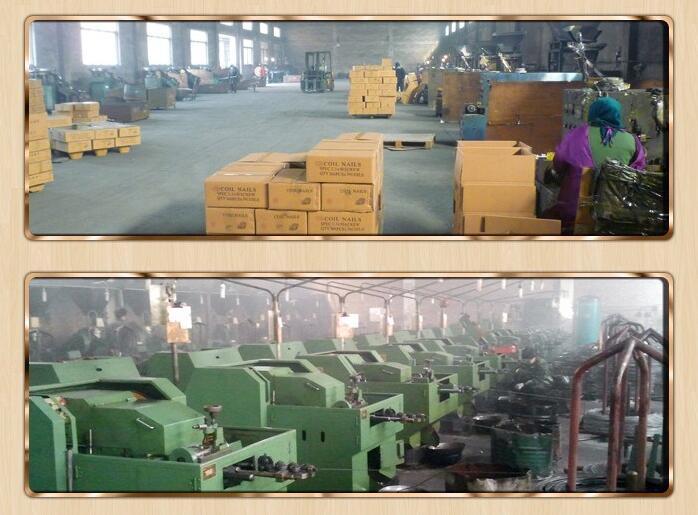 Round Drywall Screw With Small Color Boxes Packing