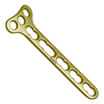 Locking T Plate