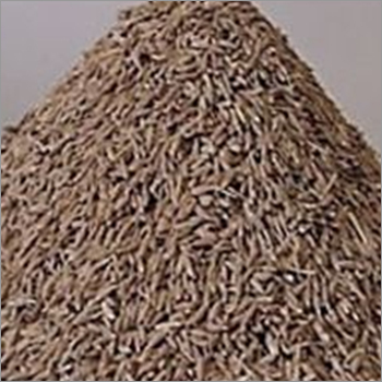 Oranges Yellow Organic Cumin Seeds