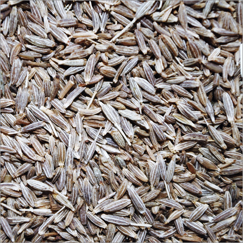 Oranges Yellow Organic Cumin Seeds