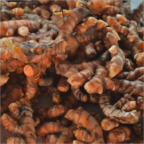 Oranges Yellow Fresh Turmeric Finger