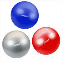 Fit King Gym Ball 65cm at INR in Indore Hhw Care