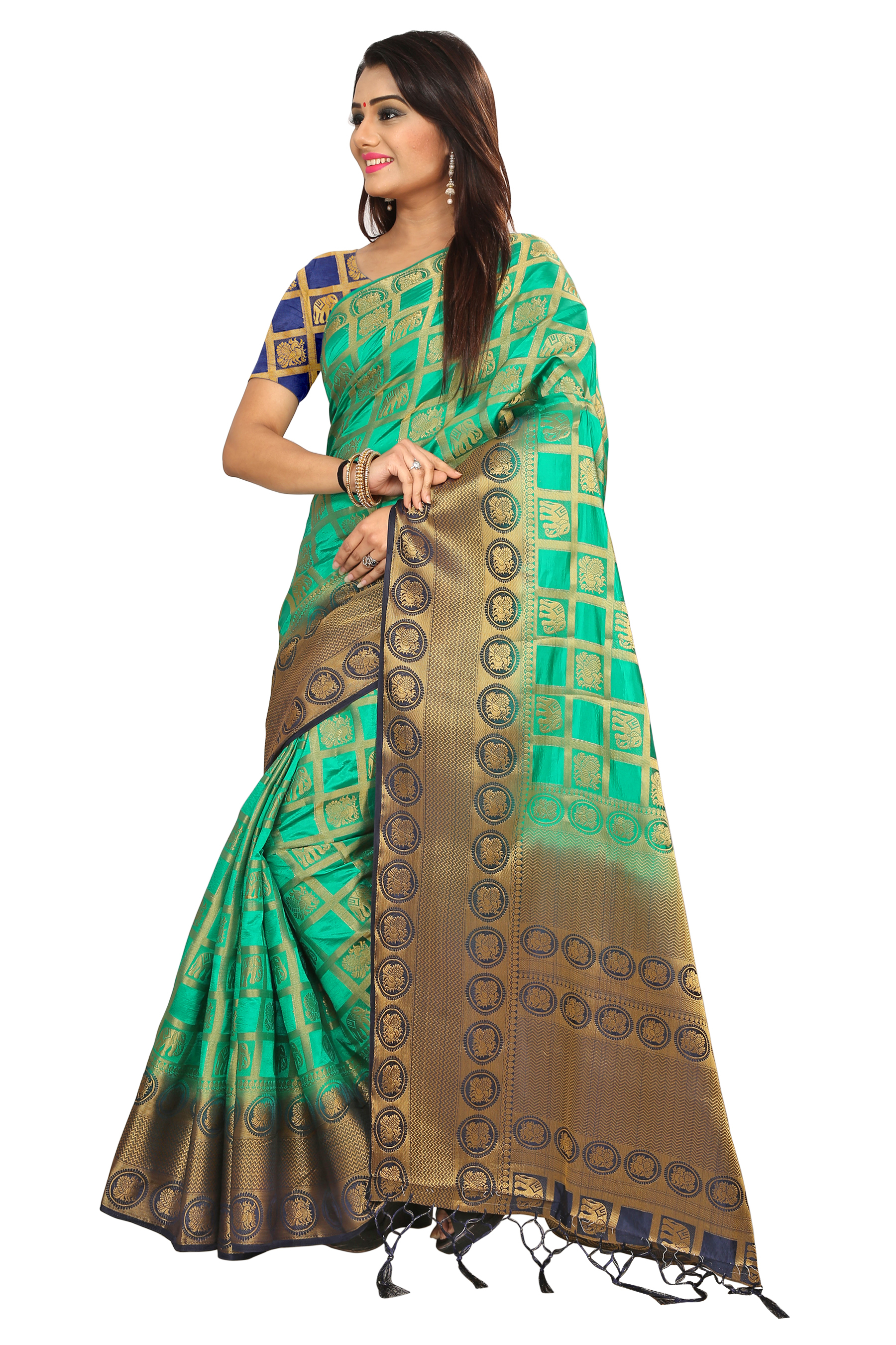 Multi Color Kanjivaram Sarees