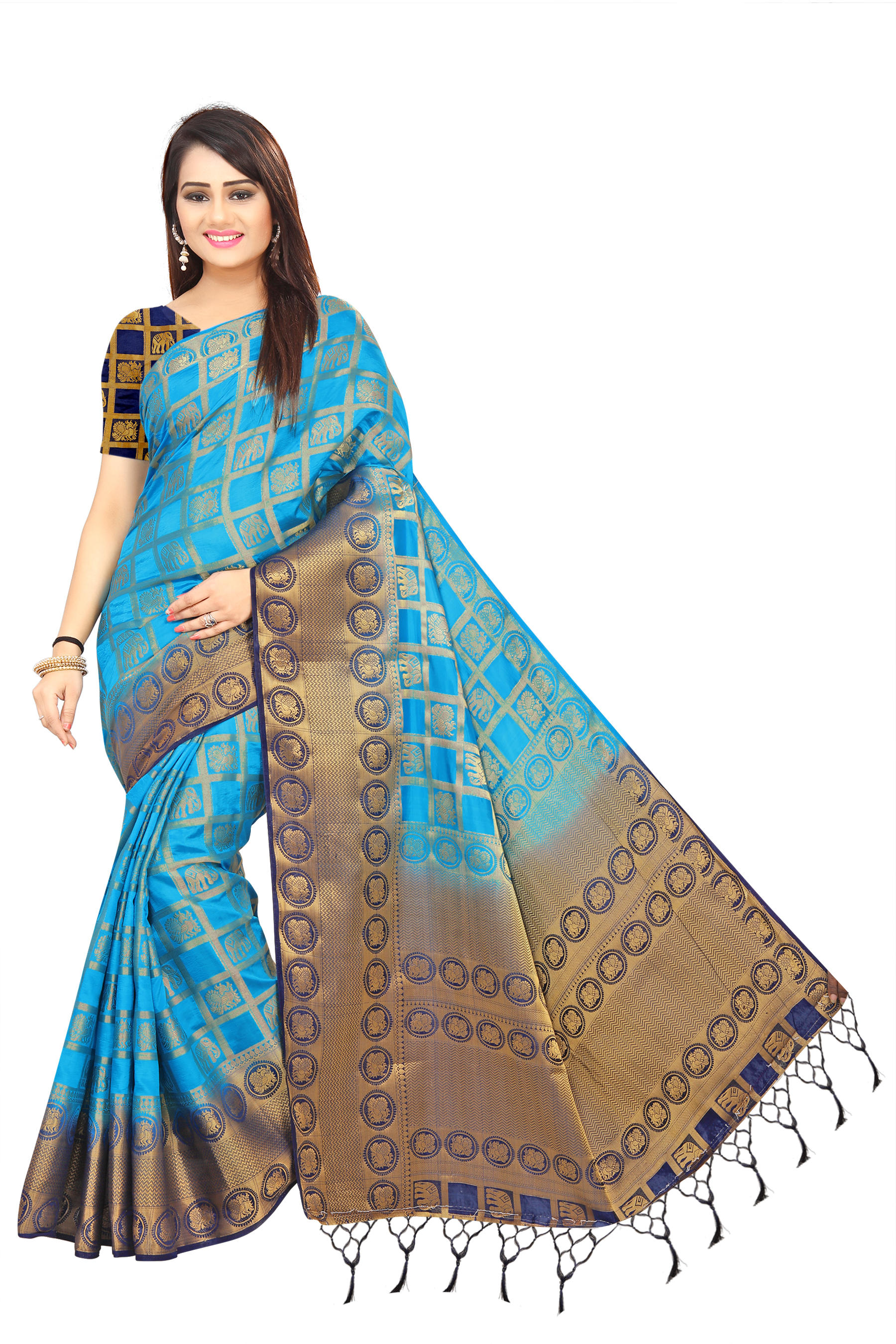 Multi Color Kanjivaram Sarees