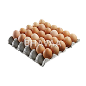 हंस पेपर अंडा ट्रे