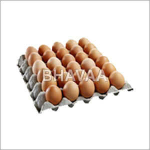 पेपर अंडे ट्रे