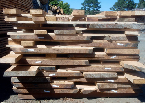 Deodar Woods and Logs