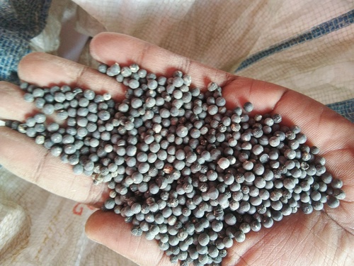 White Shatavari Seed Age Group: Suitable For All