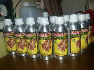 Eucalyptus Oil