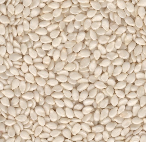 Hulled White Sesame Seeds - Organic, 99.95% Purity | White Color, Hybrid Grade, Spice Seeds