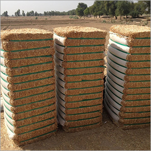 Alfalfa (green and dry)