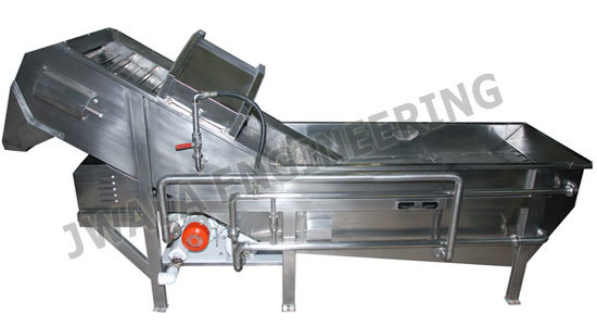 Automatic Fruit Vegetable Washer