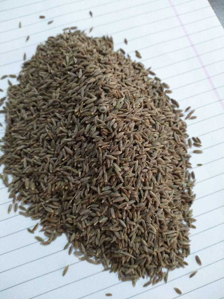 Cumin Seeds