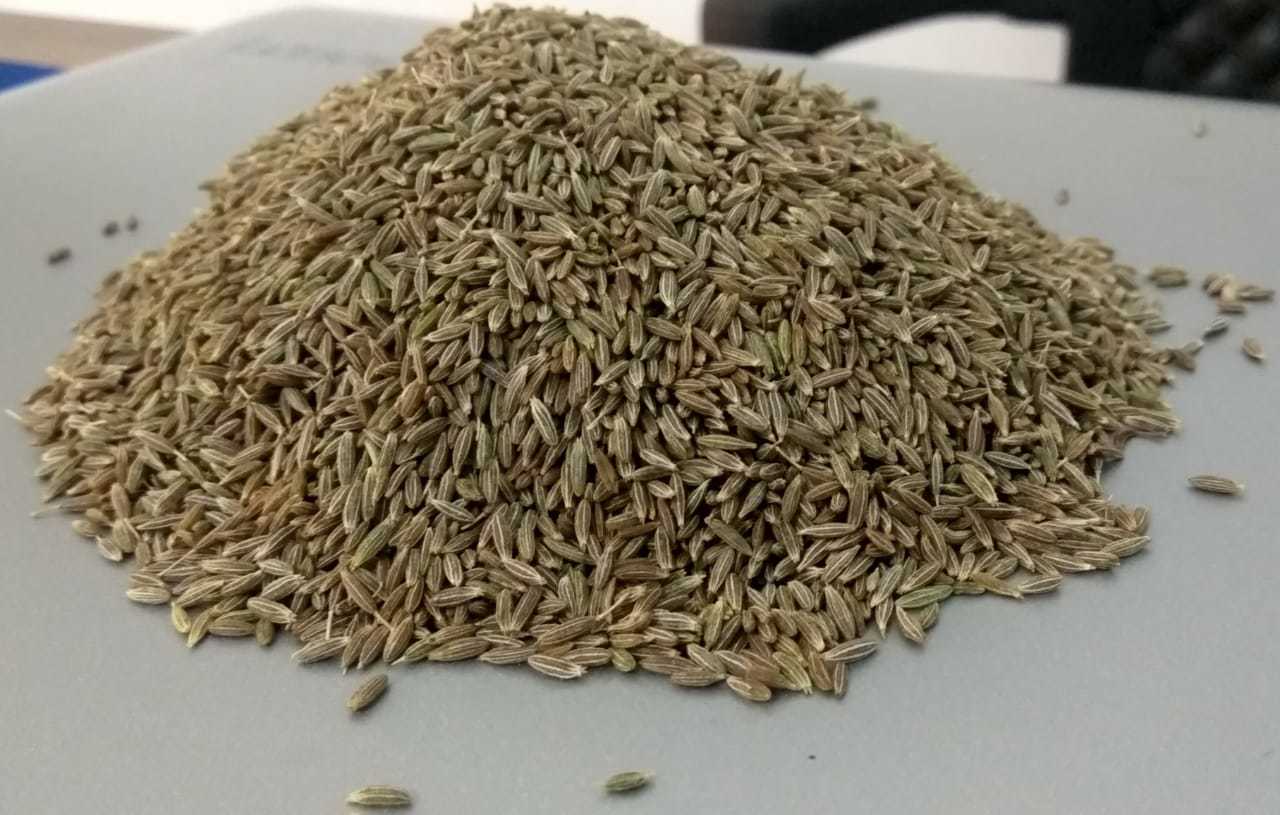 Cumin Seeds