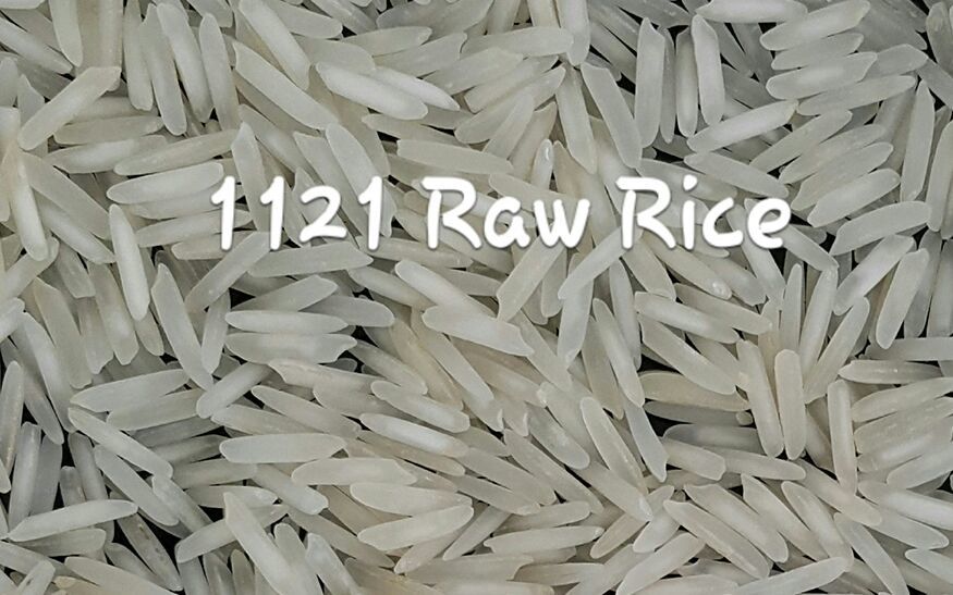 Rice