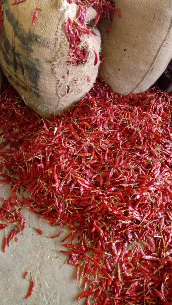 Red Chillies