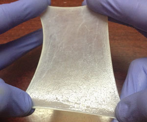 Collagen Sheets