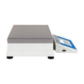 2 Precision Balance