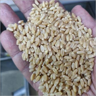 गेहूँ की पीसाई