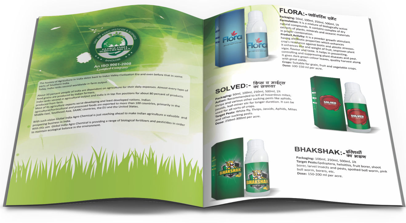Brochure Designing Services